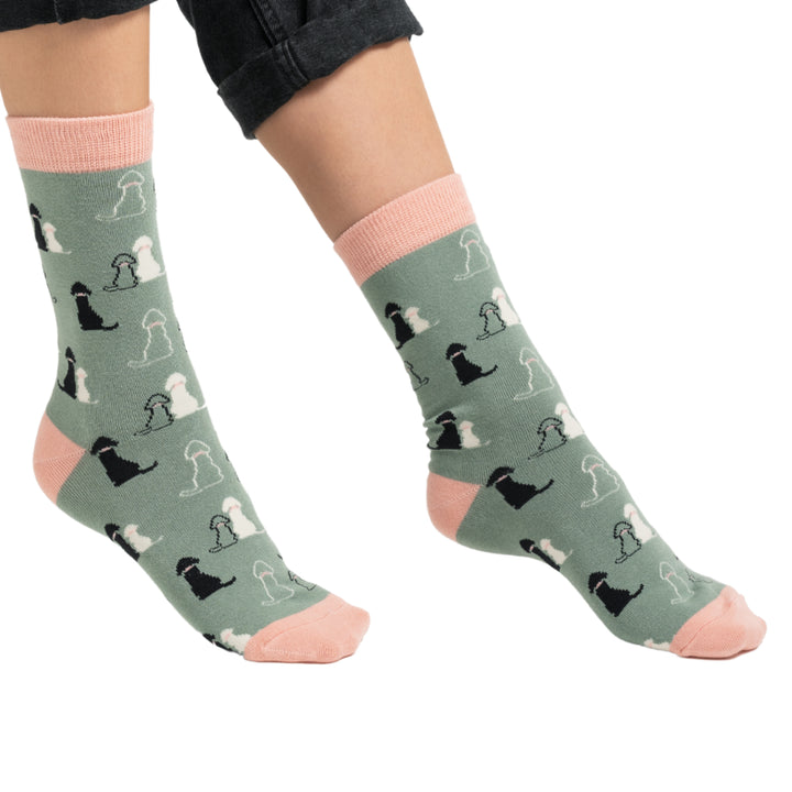 Miss Sparrow Ladies Retriever Dog Bamboo Socks Duck Egg Blue - Sugarplum Boutique